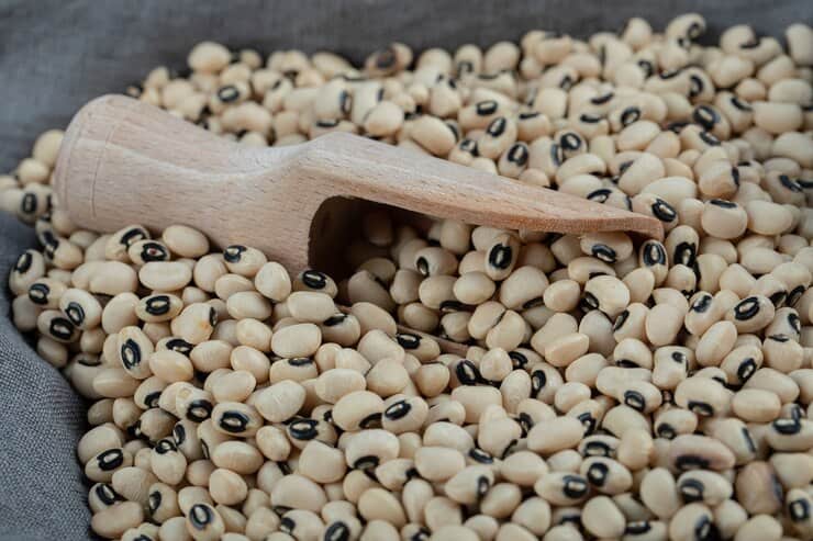تصویر 4 از خرید و قیمت لوبیا چشم بلبلی + فروش عمده